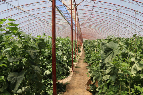 Technology and application of facility agriculture in China