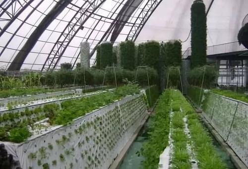 The Ministry of agriculture and rural areas promotes the utilization project of livestock and poultry manure and pays close attention to the supporting facilities