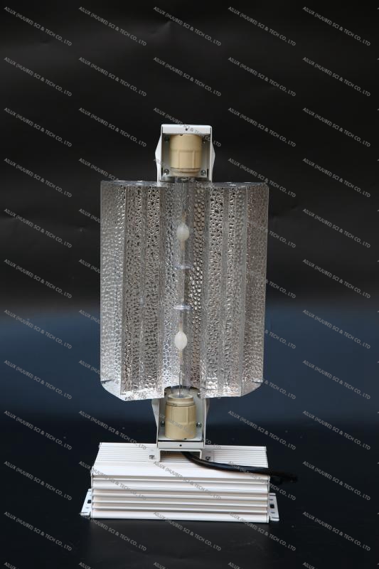 Lighting Fixture